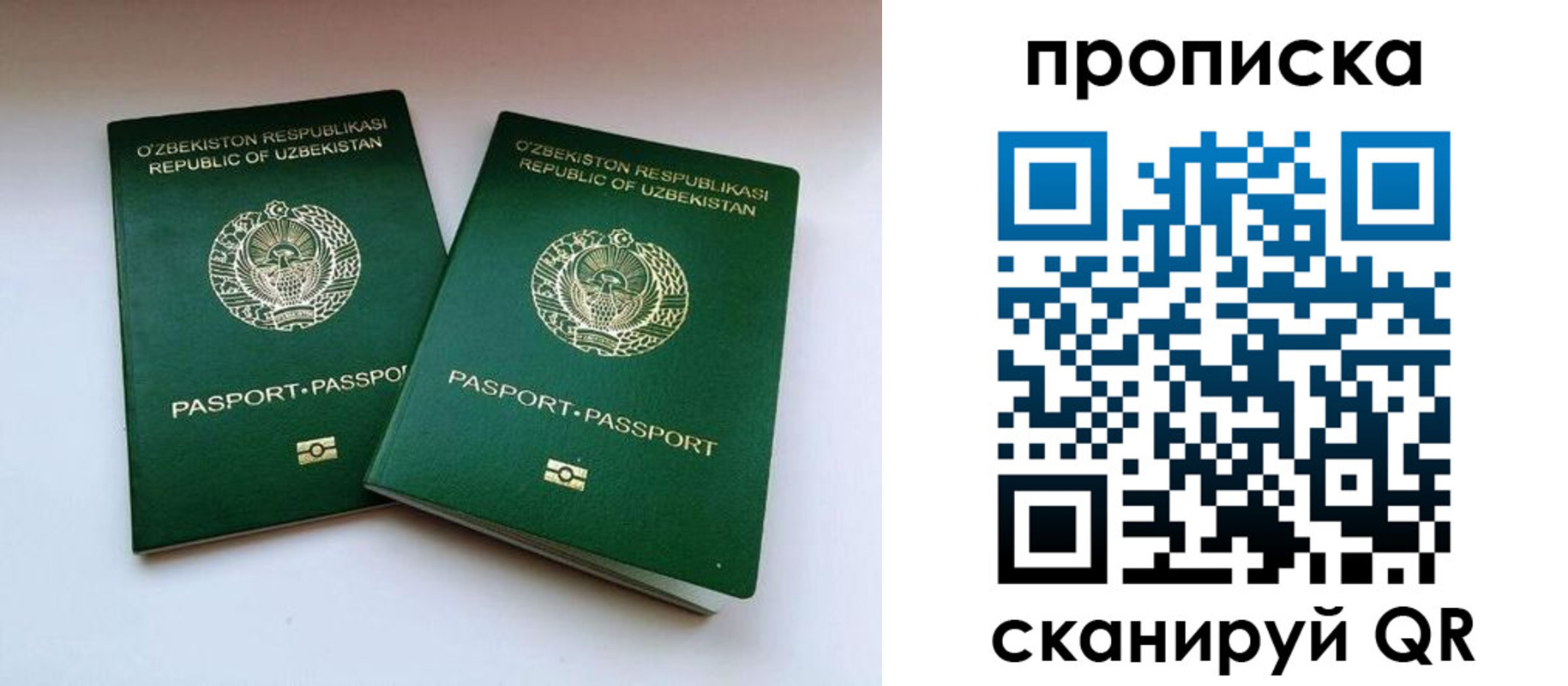 прописка поиск в Ворсме